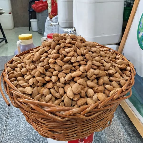 بادام سنگی تویسرکان