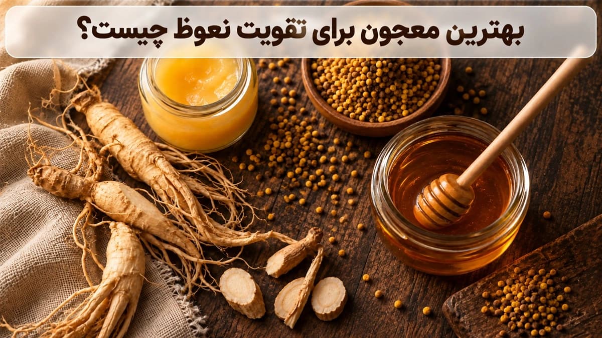 بهترین معجون ها برای تقویت نعوظ چیست؟ راهنمای انتخاب 